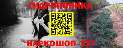 экстази Можга