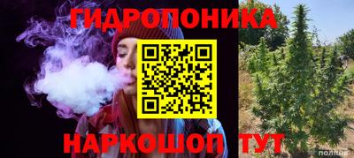 экстази Можга
