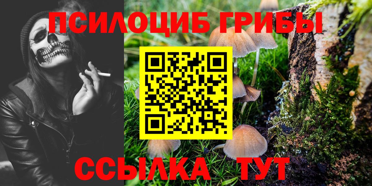 Псилоцибиновые грибы Cubensis  Вход с VPN  Советская Гавань 